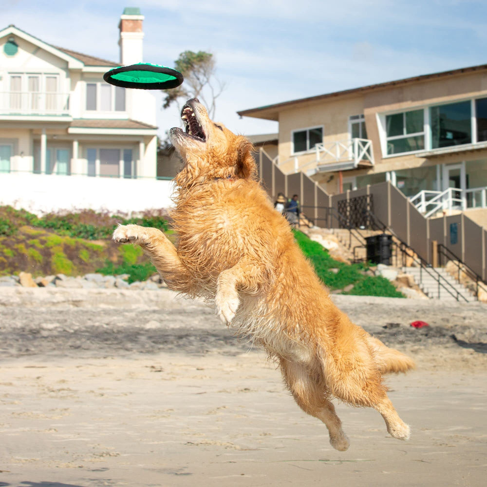 Hyper Pet Flippy Flopper beach-ready disc for long throws.