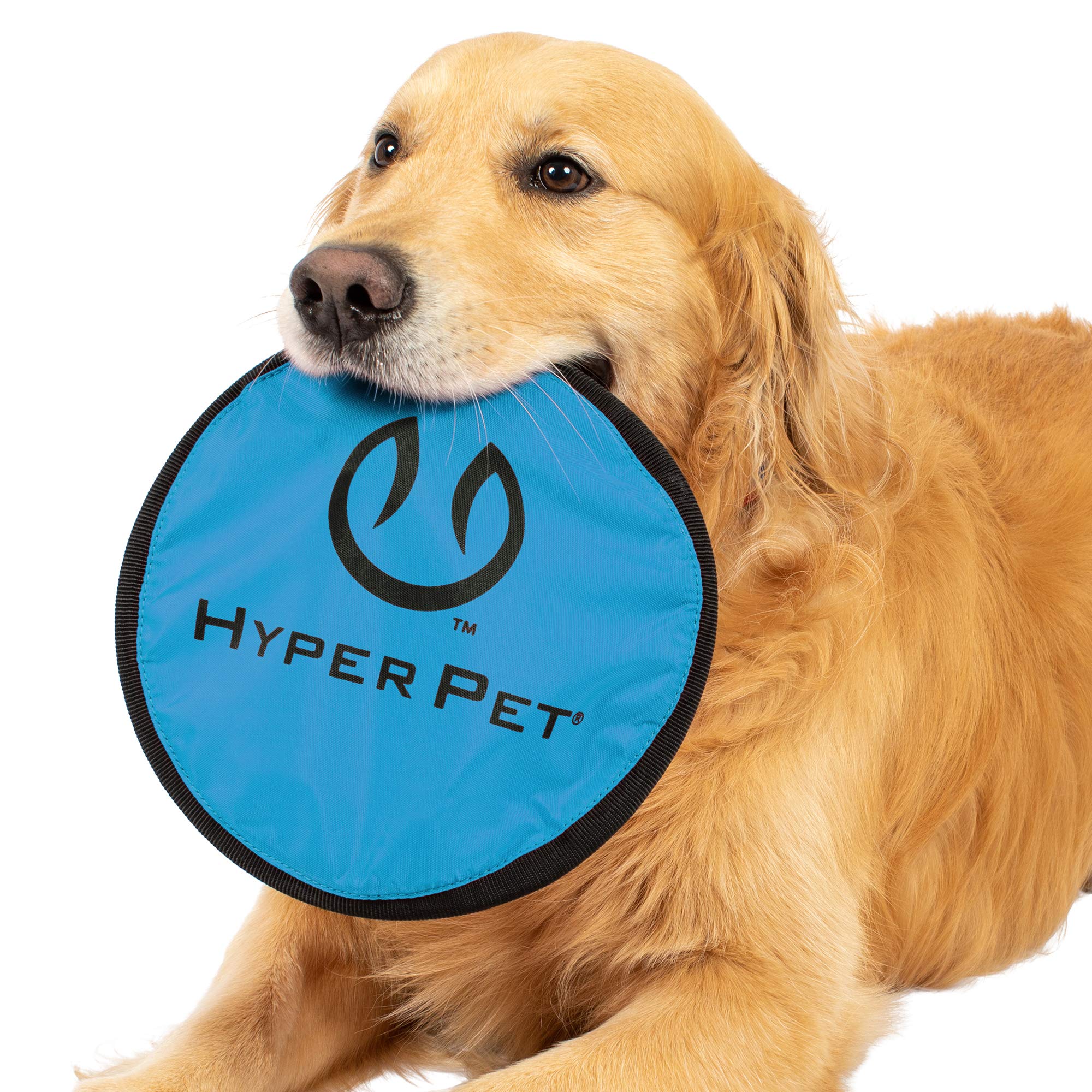 Hyper Pet Flippy Flopper nine-inch disc for medium and large dogs.