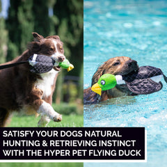 Hyper Pet Flying Duck buoyant material highlights floating water play.