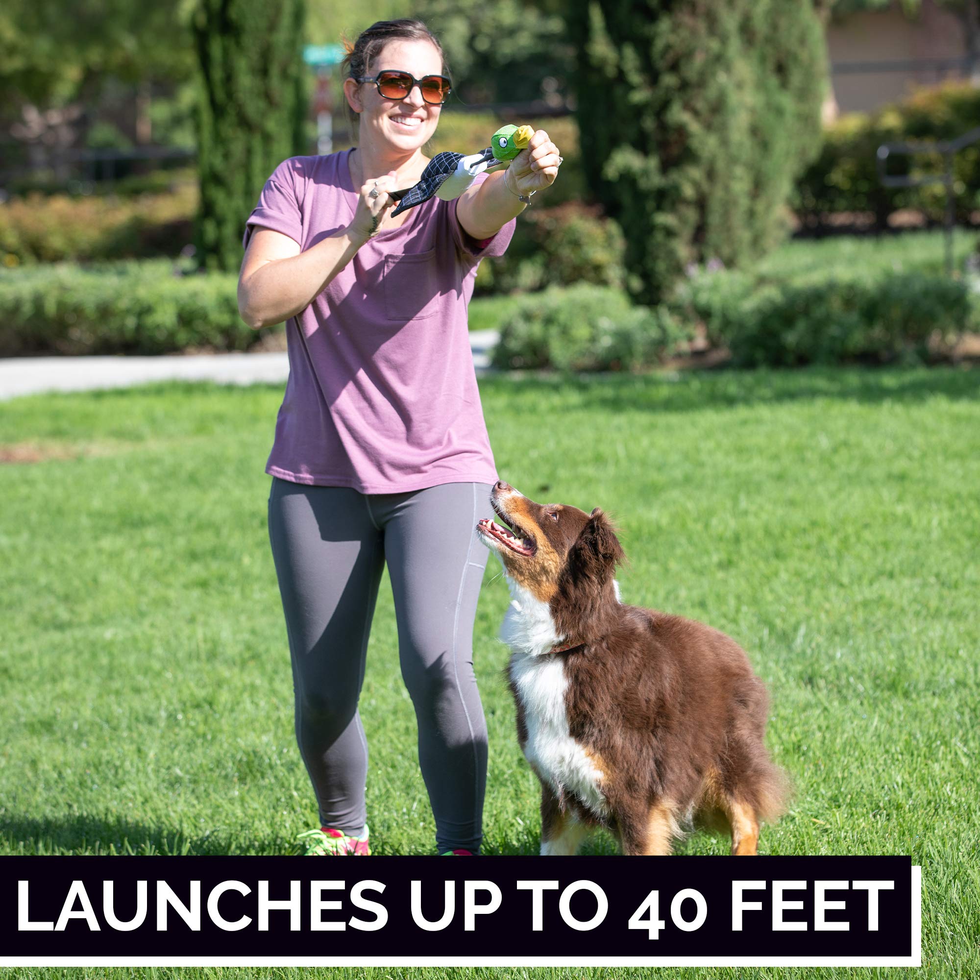 Hyper Pet interactive dog toy training fun emphasizes mental and physical engagement.