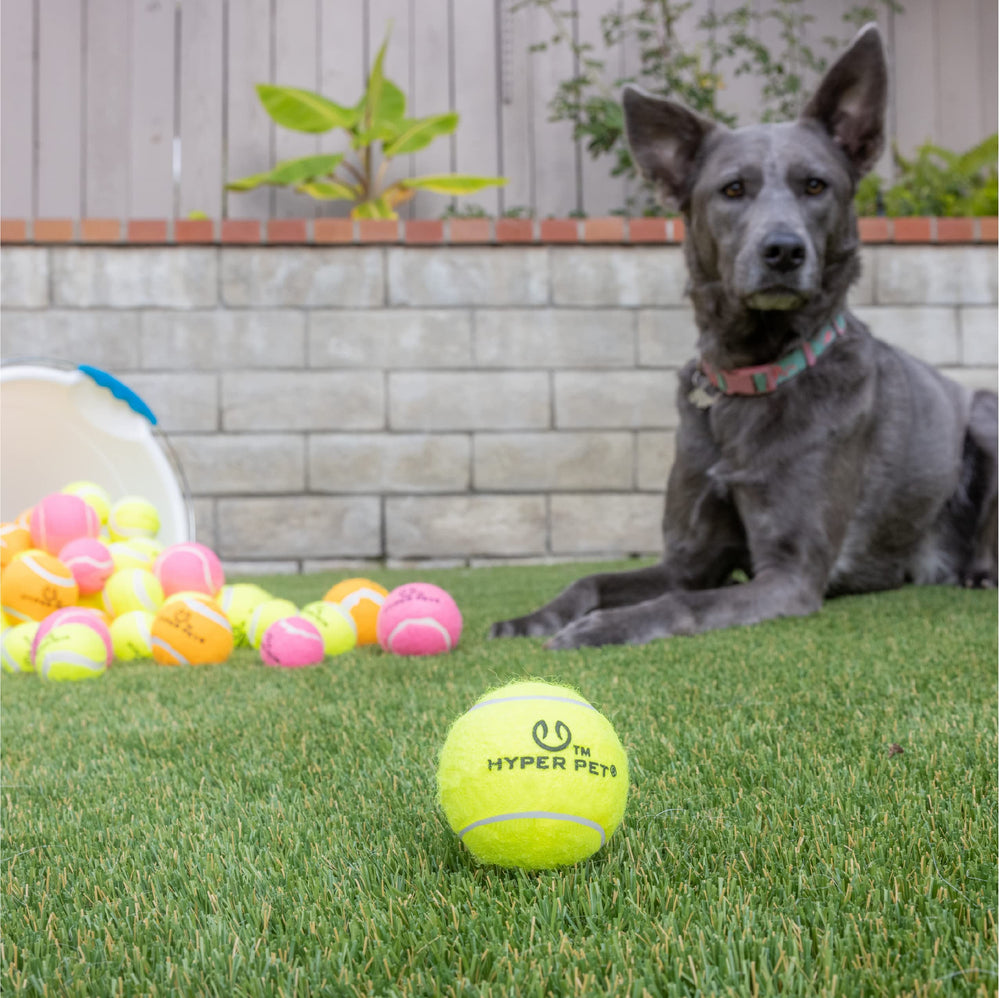 Hyper Pet bright-colored ball on lawn aids quick visibility in outdoor fetch.