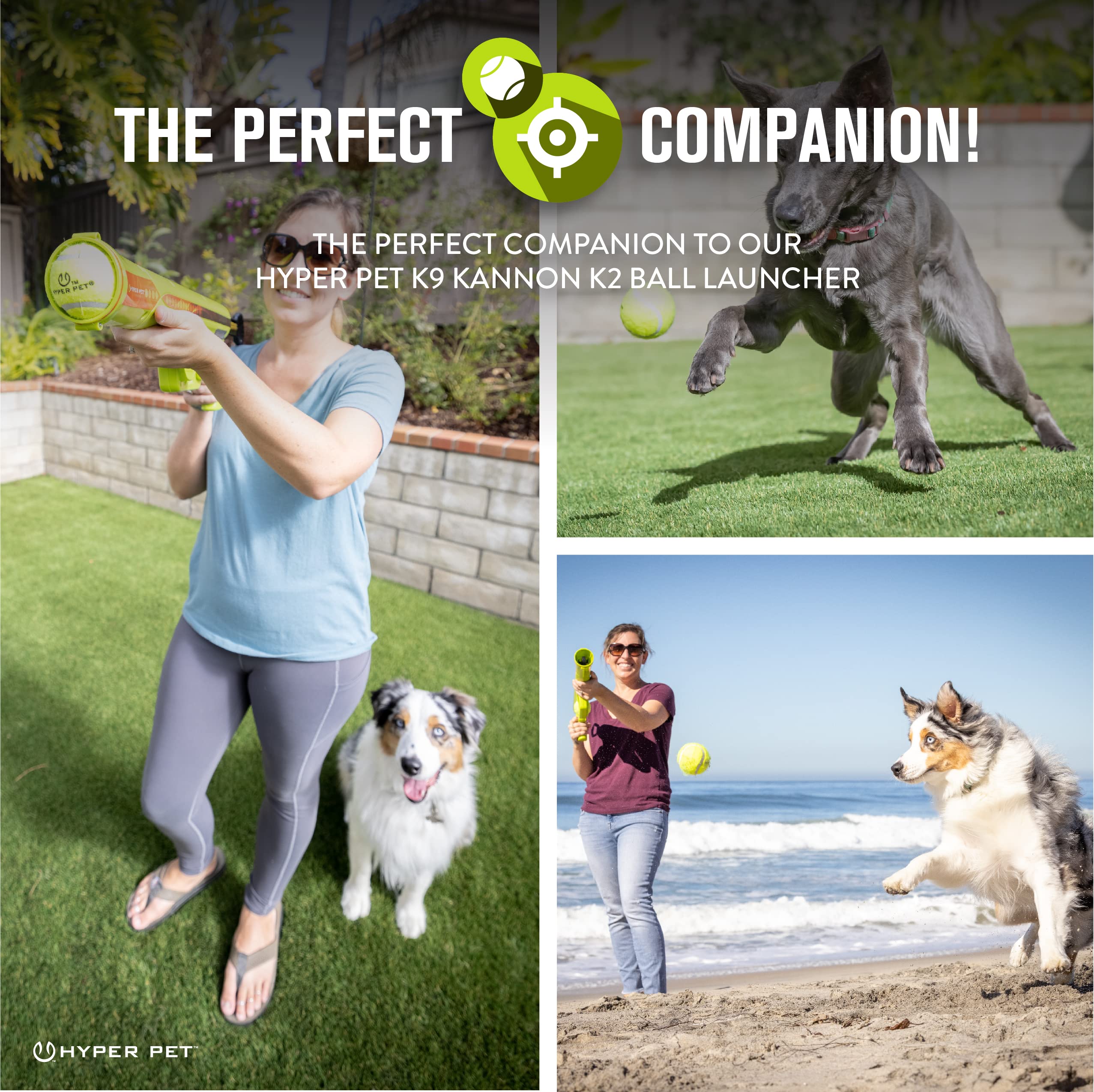 Hyper Pet tennis ball floating beside a pool indicates water-friendly play.