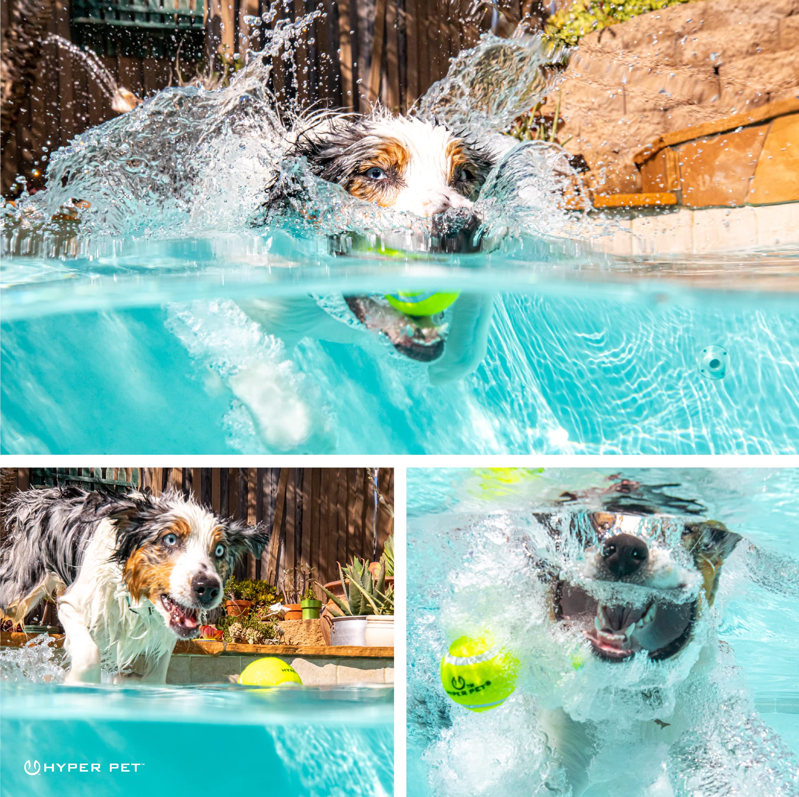 Hyper Pet tennis ball with launcher compatibility for interactive training.