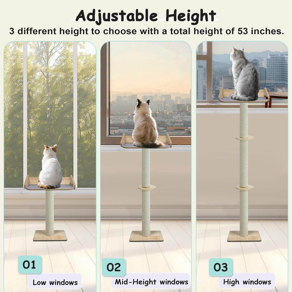 HYUVCX cat window perch detachable cushion enables quick cleaning.