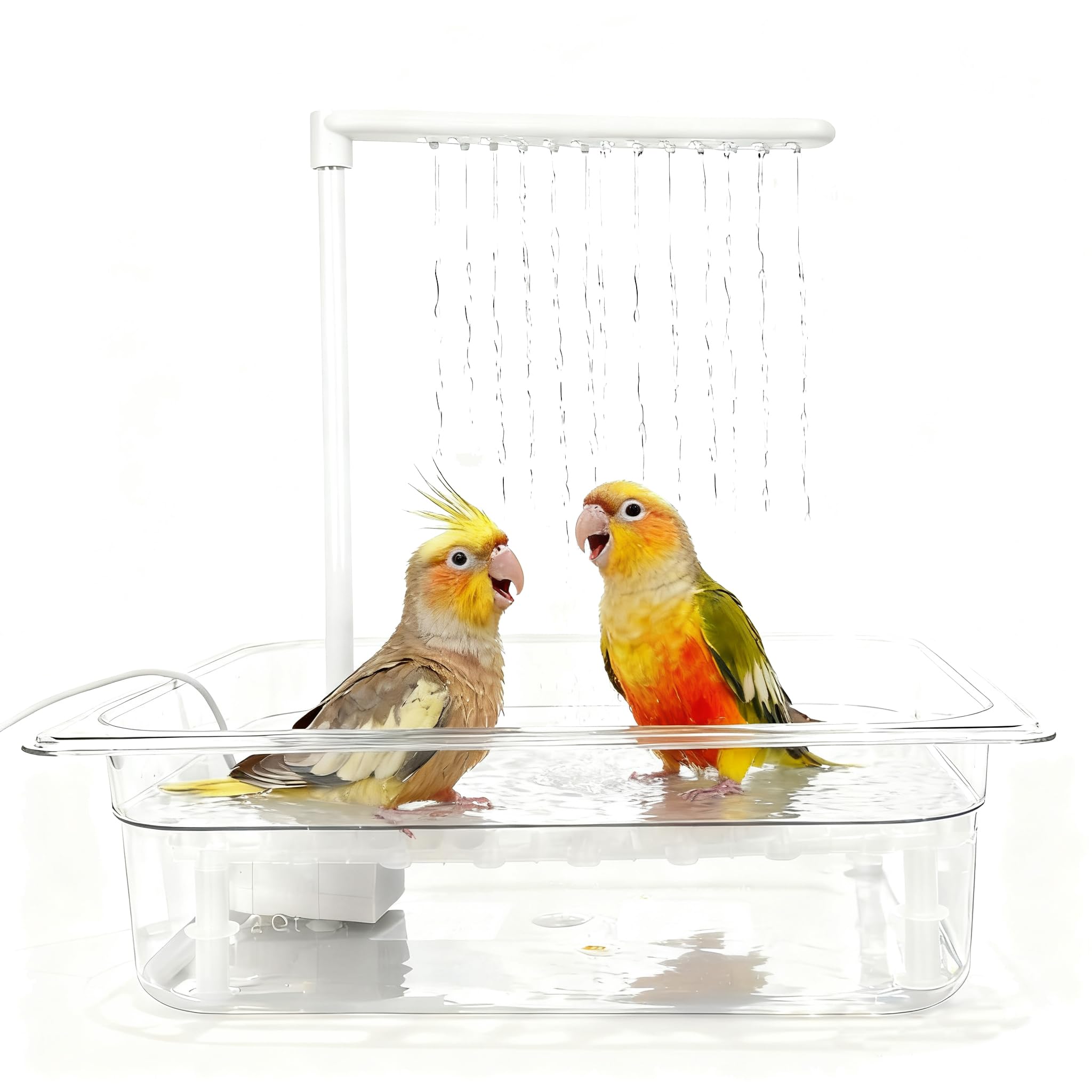 HZDZ LCPAW bird bath with USB pump shows adjustable flow for lively birds.