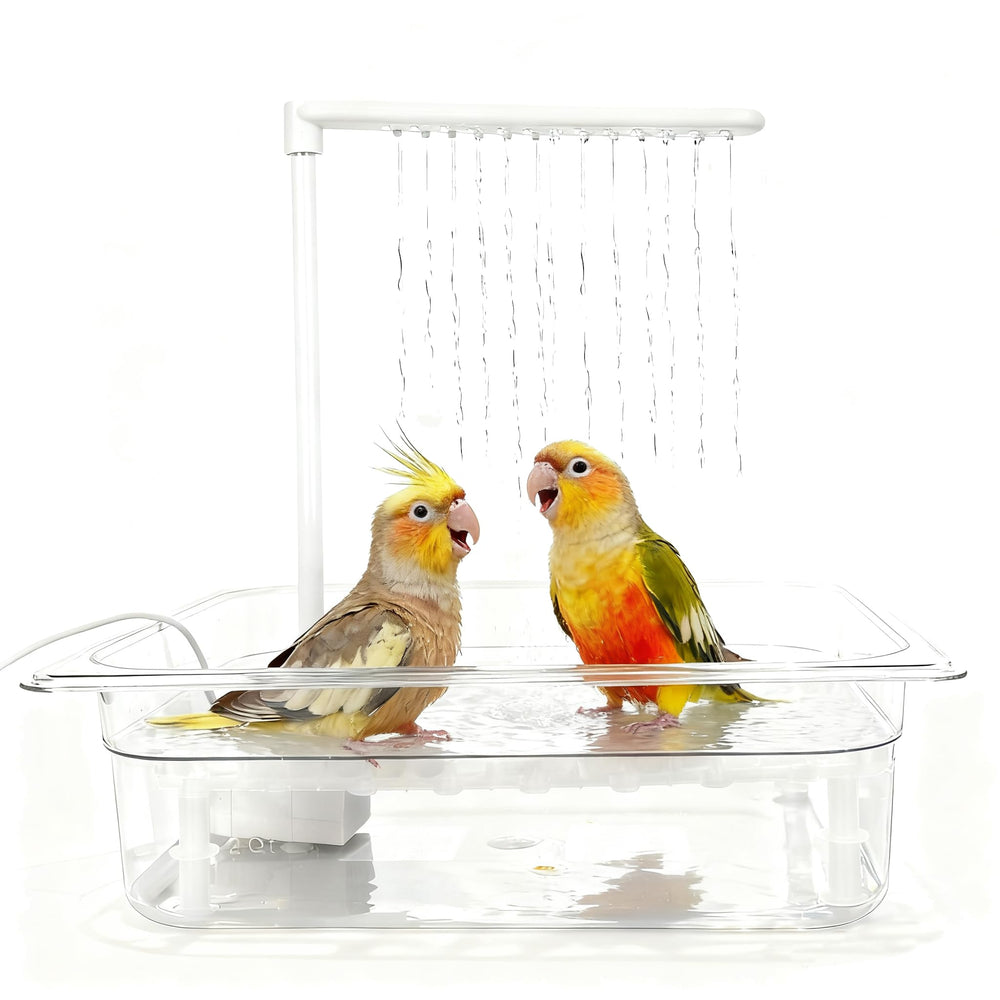 HZDZ LCPAW bird bath with USB pump shows adjustable flow for lively birds.