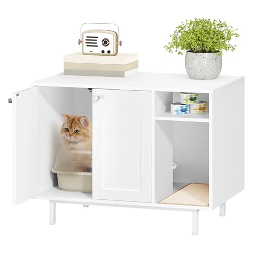 Hzuaneri room setup shows a quiet cat space integrated into a living area