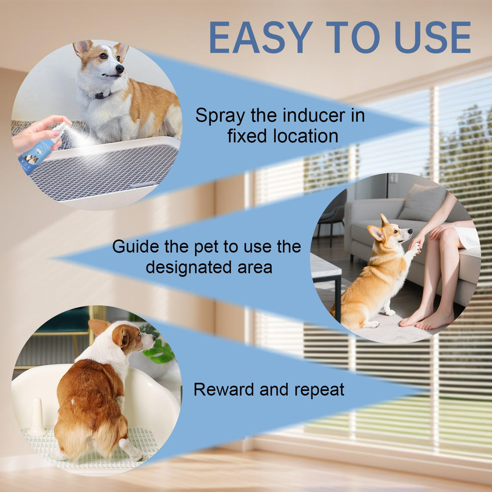 iALTERLL Travel friendly potty spray bottle for hotels and parks.