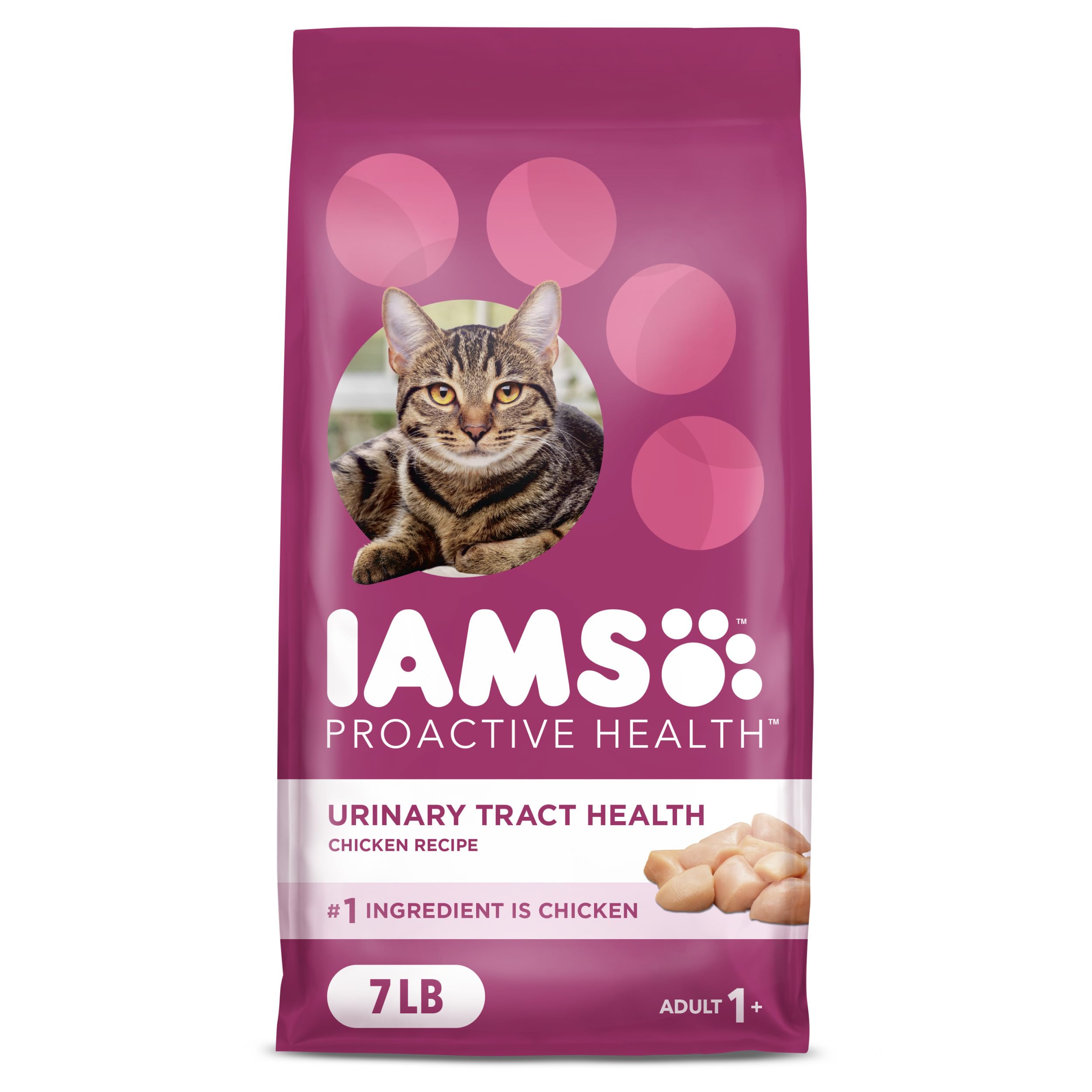 IAMS Proactive Health cat food bag front highlighting urinary health support