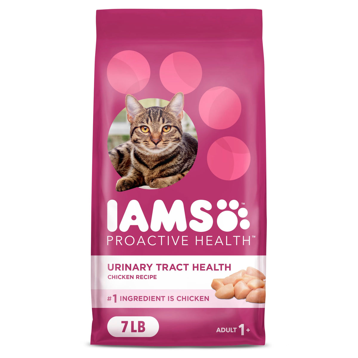 IAMS Proactive Health cat food bag front highlighting urinary health support