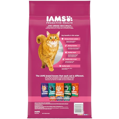 IAMS Proactive Health serving bowl emphasizes daily feeding for adult cats