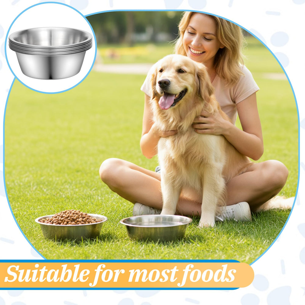 IANFAN versatile pet bowls suitable for meat, wet food, and water.