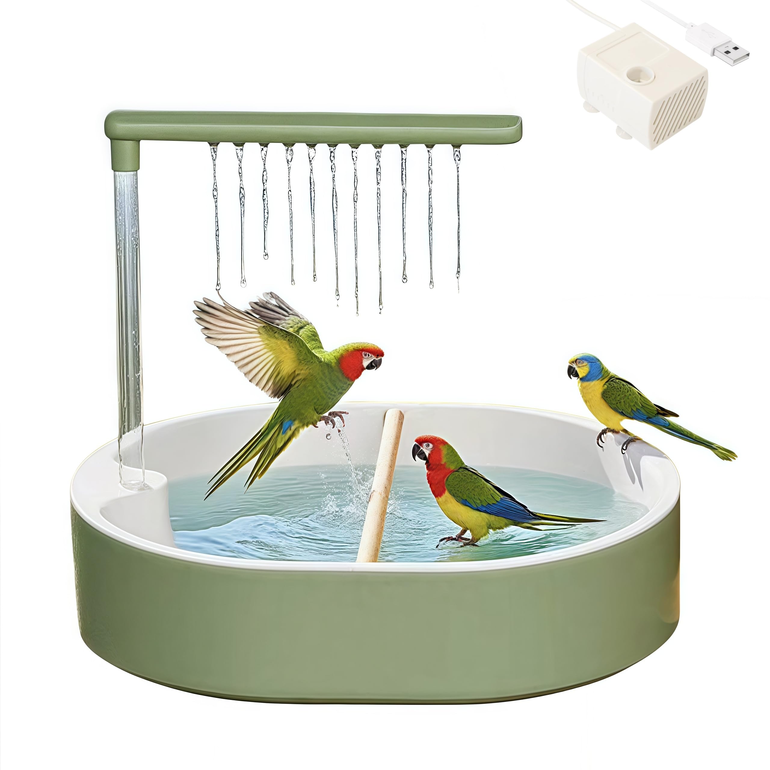 ianjetty parakeet-bath-basin-view shows a spacious basin for multiple birds and easy bathing.