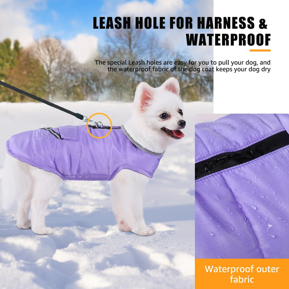 iBuddy dog winter coat waterproof windproof outer layer protects in snow