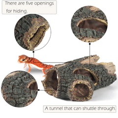 IBWell terrarium-decor five-hole log provides multiple entry points.