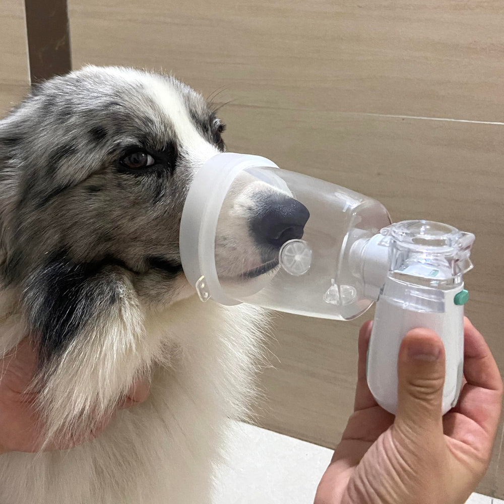 ICARE-PET nebulizer shows adjustable mist settings for customized at-home sessions.