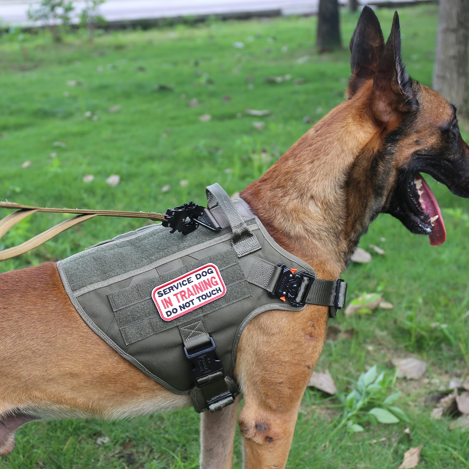 MOLLE PALs side panels on ICEFANG harness enable gear attachment for hikes.