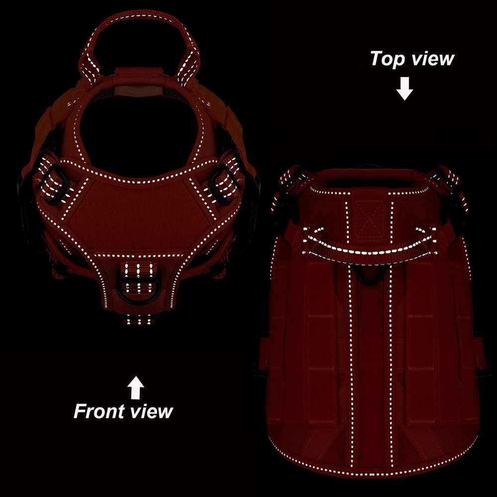 Icefang GN1 small orange harness back view with MOLLE panels for gear.