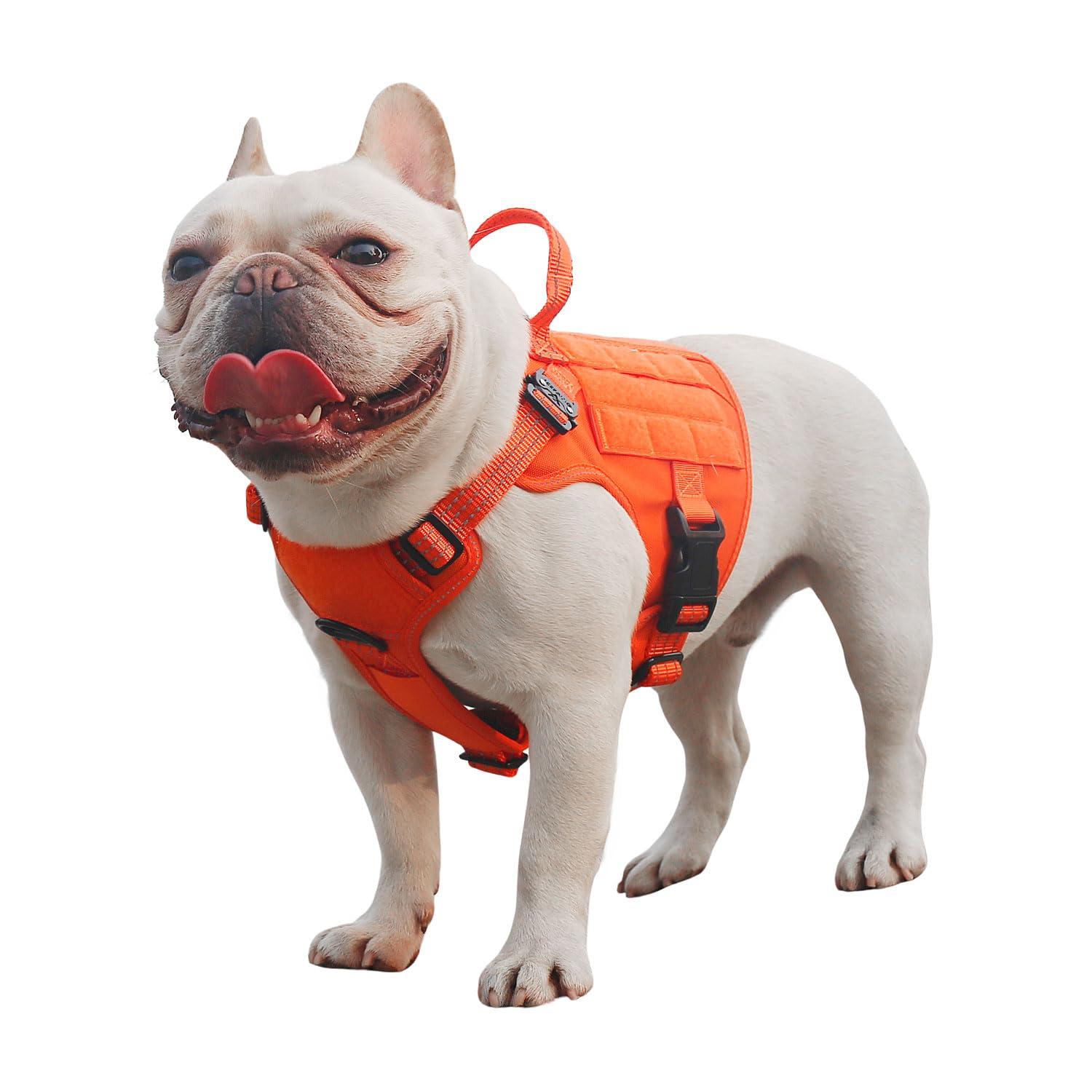 Icefang GN1 small orange harness front view highlighting secure fit and reflective trim.