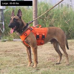 ICEFANG GN3 harness side view highlighting MOLLE straps for gear