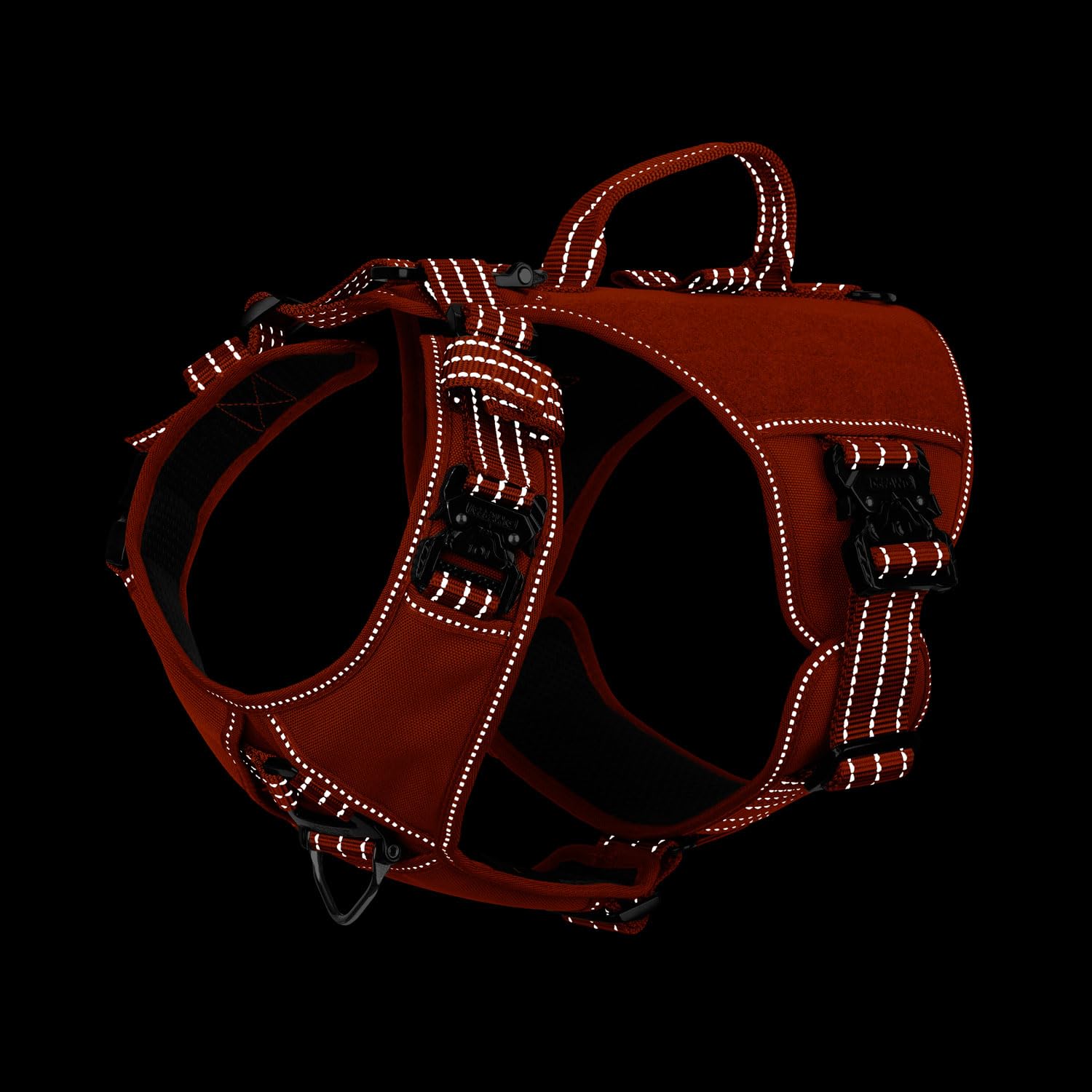 IceFang GN8 harness closeup of metal buckles for quick on/off