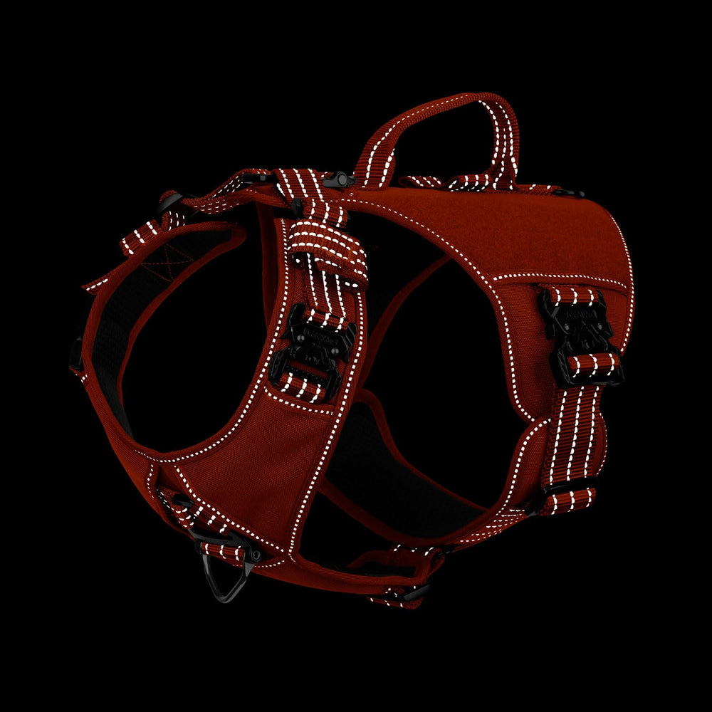 IceFang GN8 harness closeup of metal buckles for quick on/off