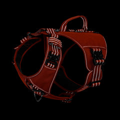 IceFang GN8 harness closeup of metal buckles for quick on/off