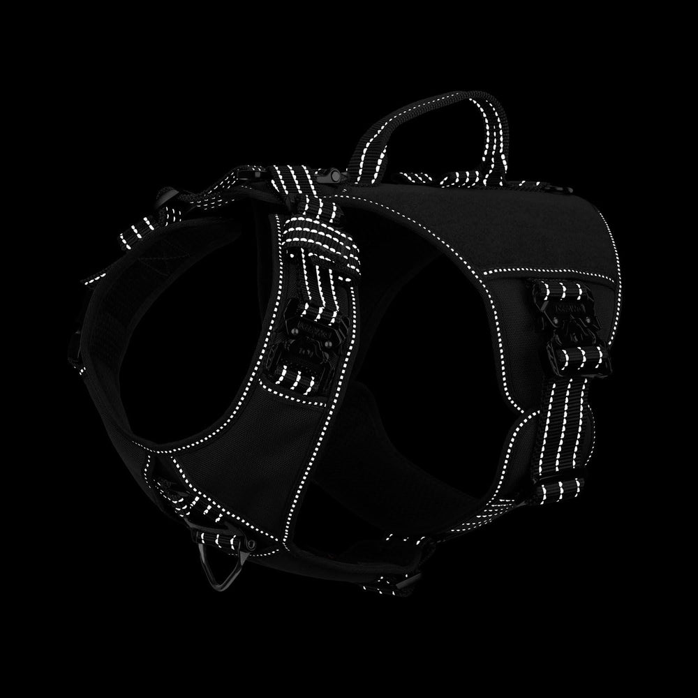 ICEFANG GN8 loop panel explanation for patches and identification