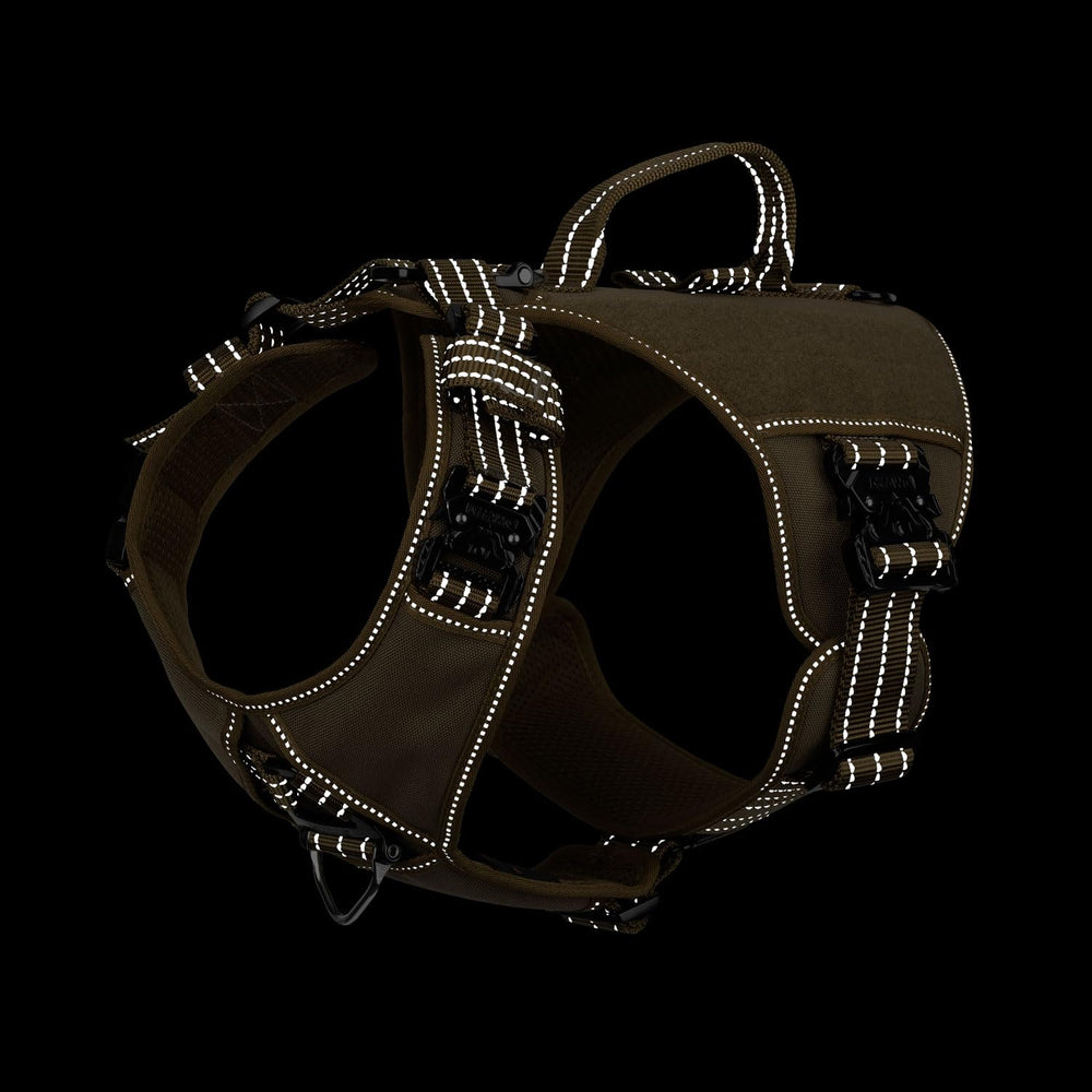 ICEFANG GN8 metal buckles closeup emphasizing durable hardware for outdoor use