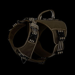 ICEFANG GN8 metal buckles closeup emphasizing durable hardware for outdoor use
