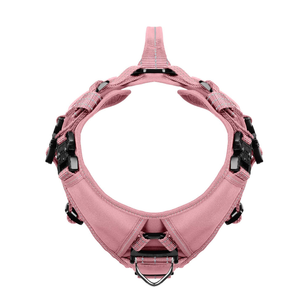 ICEFANG GN8 pink harness patch panel close-up illustrating identification patches