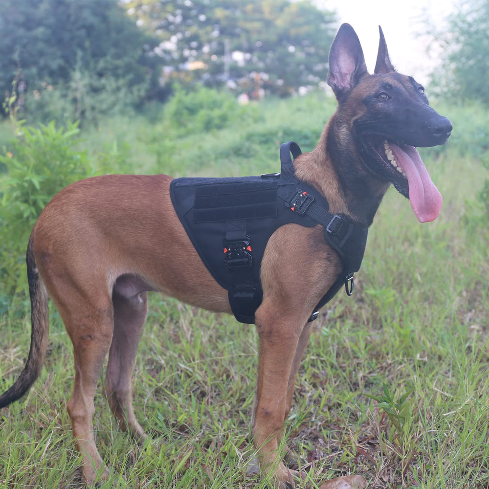 ICEFANG K9 vest with handle close-up demonstrates secure grip and quick donning