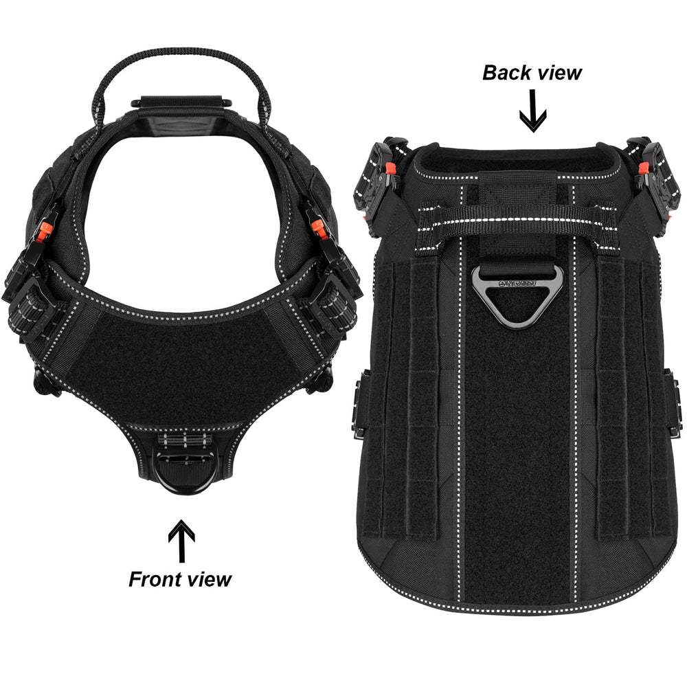 ICEFANG MOLLE compatibility panel highlights gear expansion for training and outdoor adventures