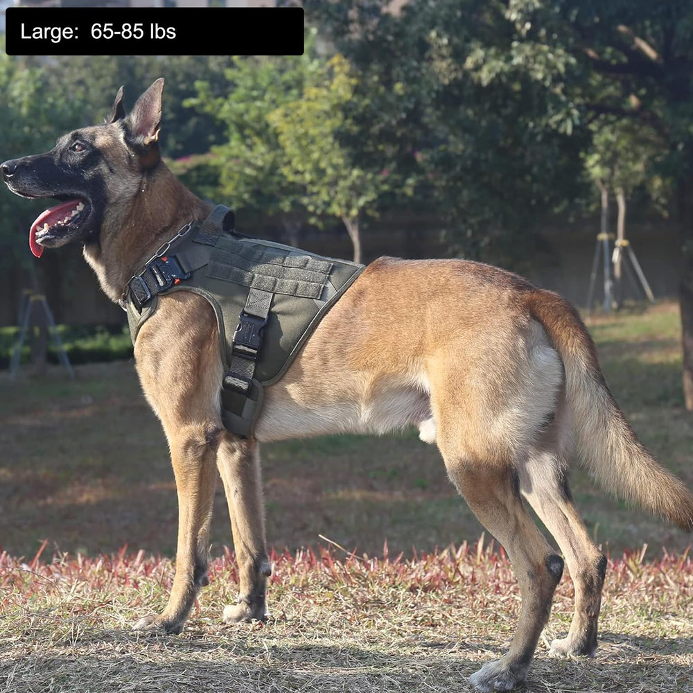 ICEFANG harness side wearing demonstrates quick-adjust fit for everyday walks.