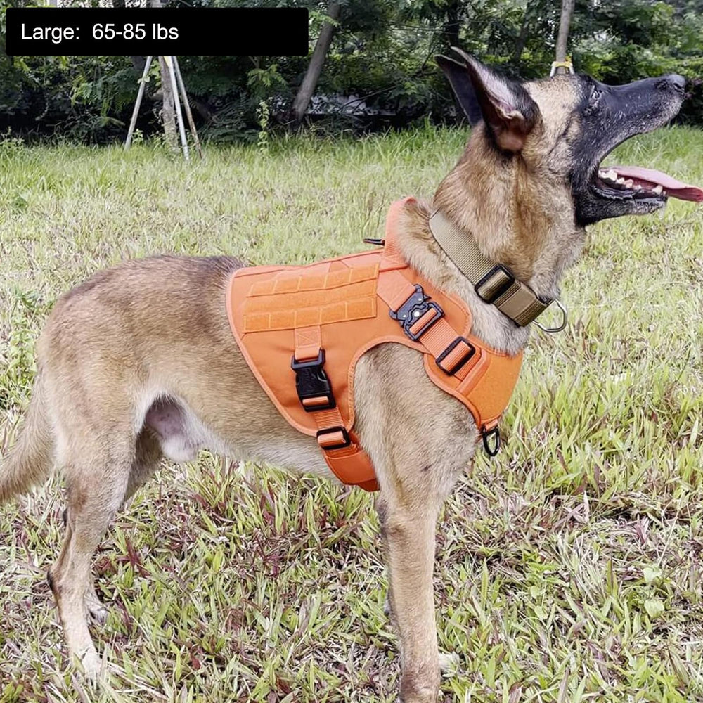 ICEFANG Tactical Dog Harness Large buckle close-up highlights durable metal and plastic buckles.