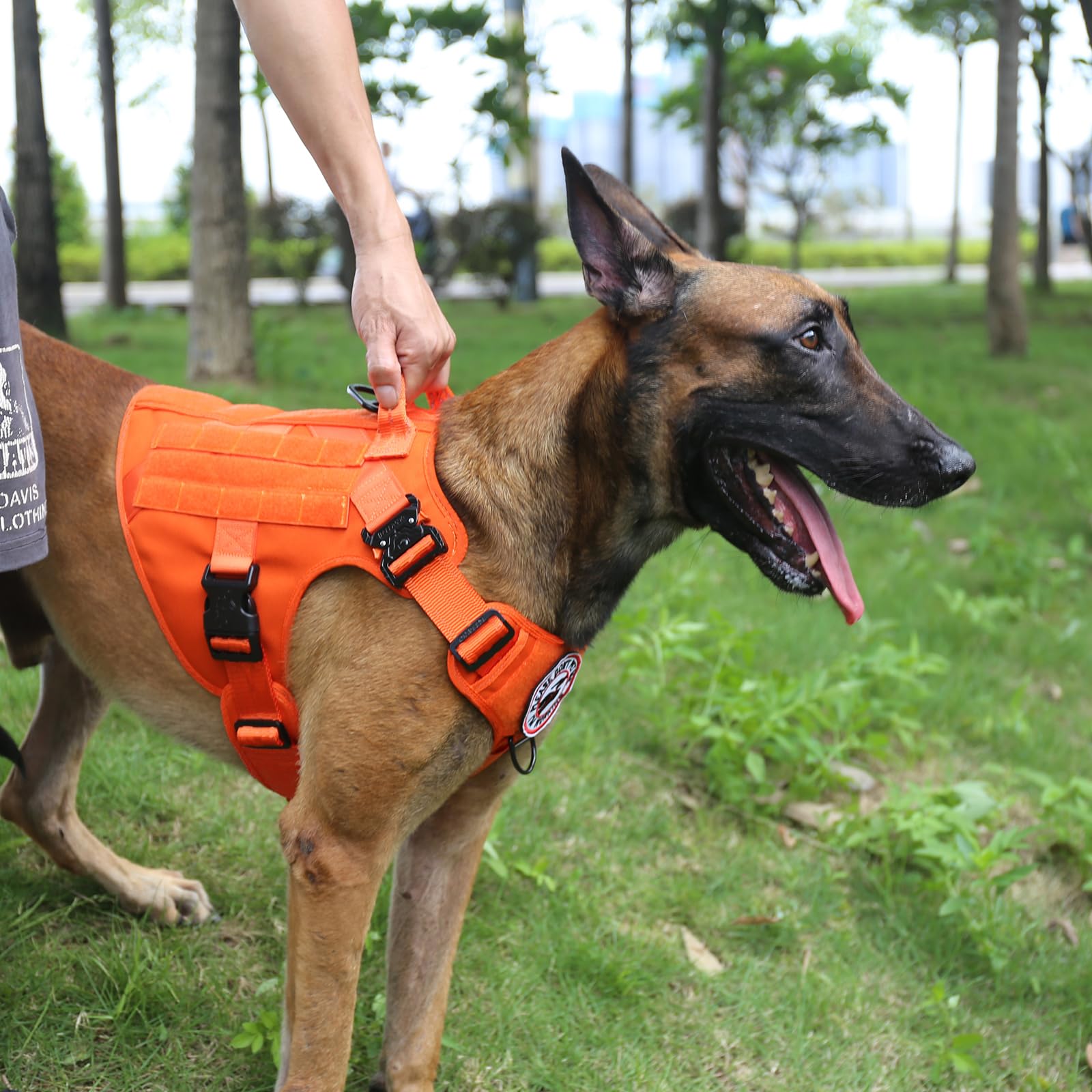ICEFANG Tactical Dog Harness Large top handle for quick control in crowded areas.