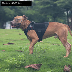ICEFANG Tactical Dog Harness medium side MOLLE panels for carrying training gear.