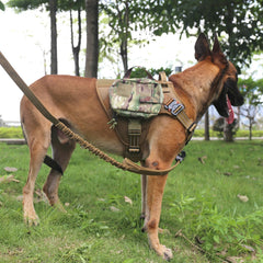 ICEFANG tactical dog harness metal buckles close-up shows rugged hardware