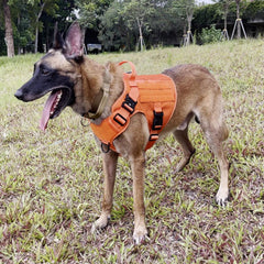 ICEFANG tactical dog harness orange XL back view showing patch panels for customization
