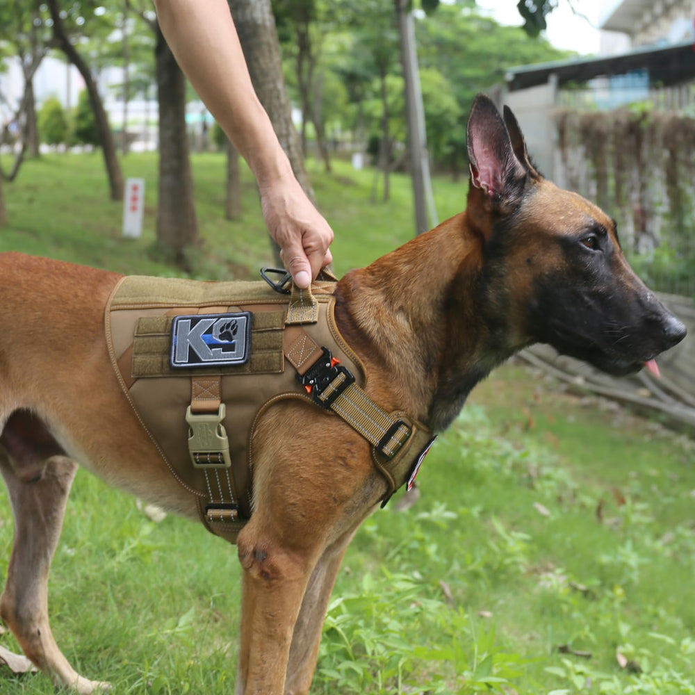 ICEFANG tactical dog harness side MOLLE panel enables gear attachment during training