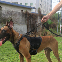 ICEFANG tactical dog leash double handles enable precise control in crowds.