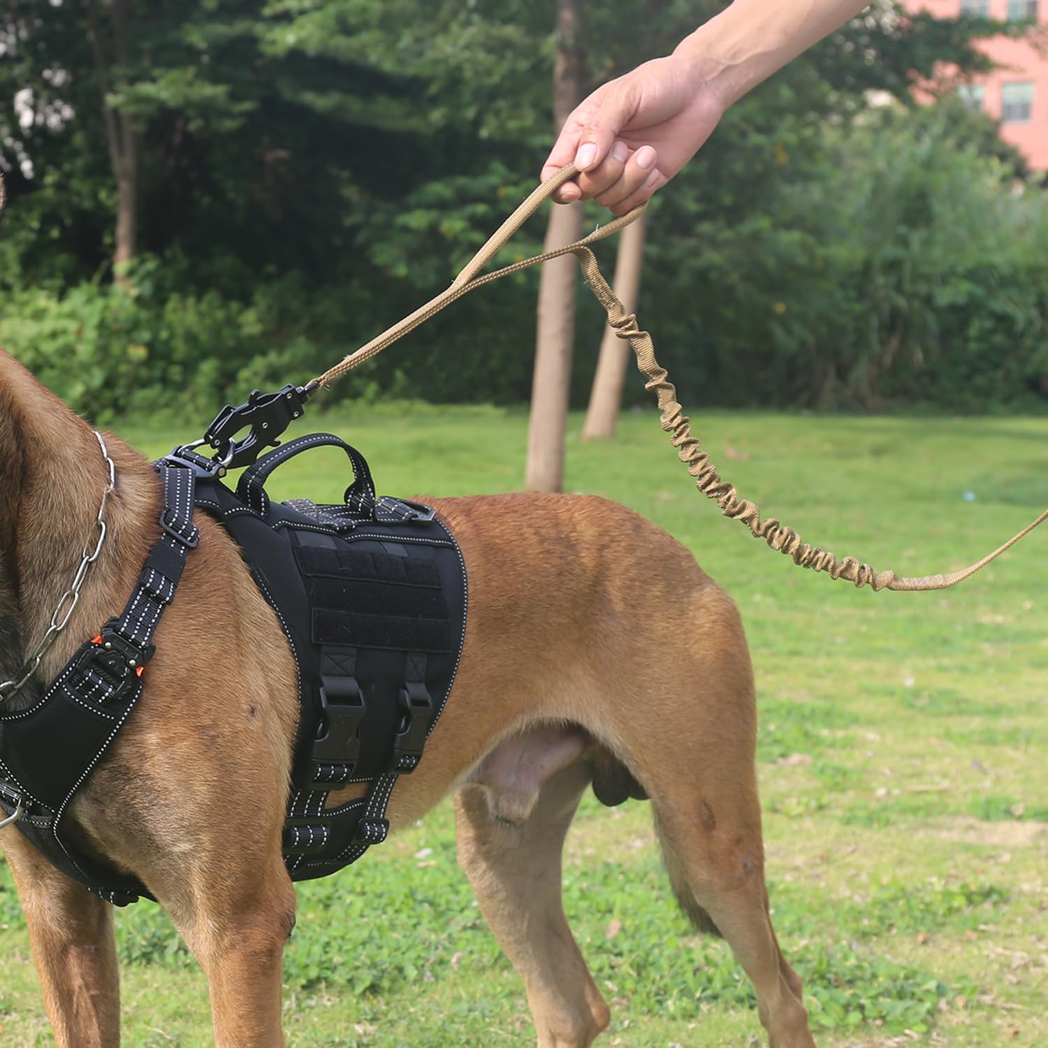 ICEFANG Tactical Dog Leash rear handle for relaxed walking with extra space.