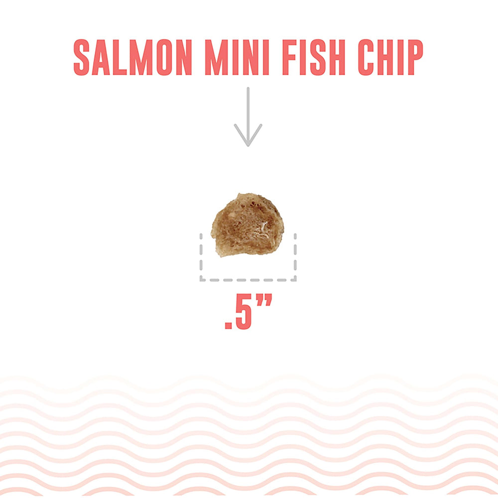 Icelandic+ sustainable ingredients photo — salmon and pollock, two-ingredient safety.