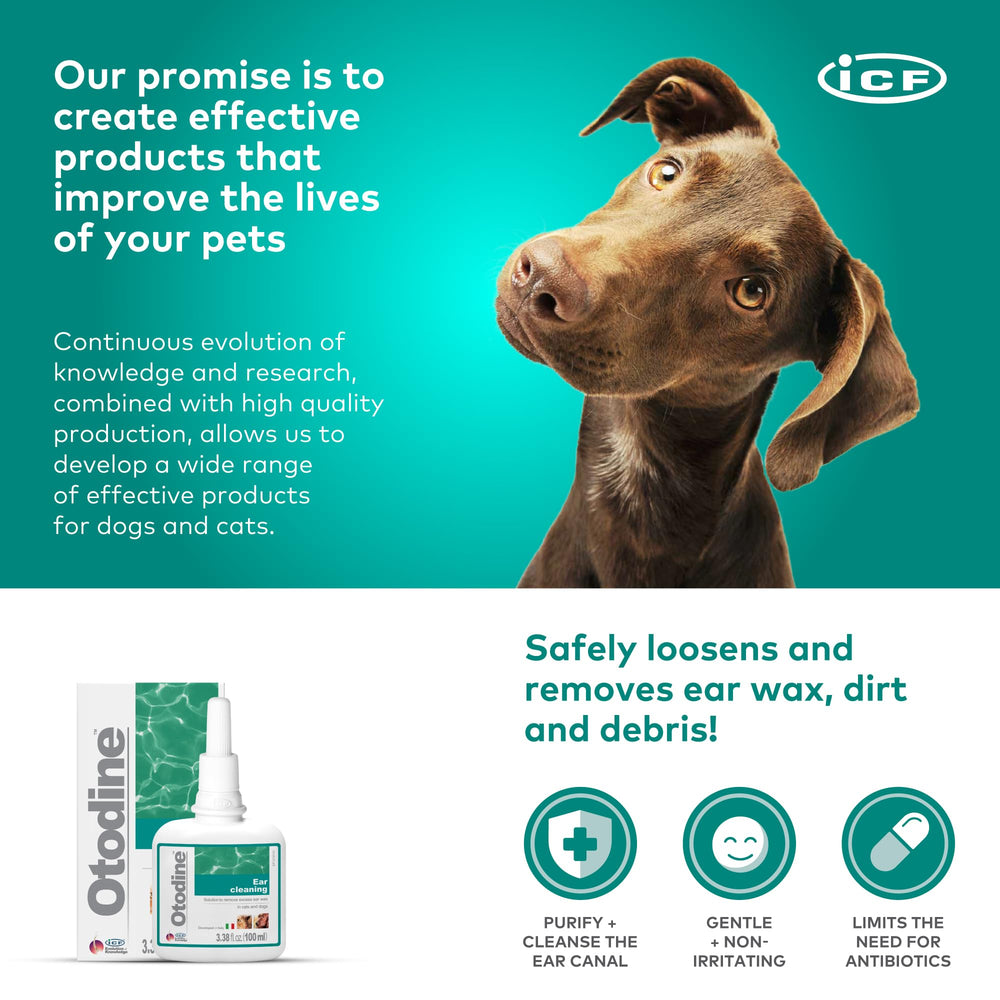 ICF Otodine deep debris removal for irritated floppy-eared breeds.