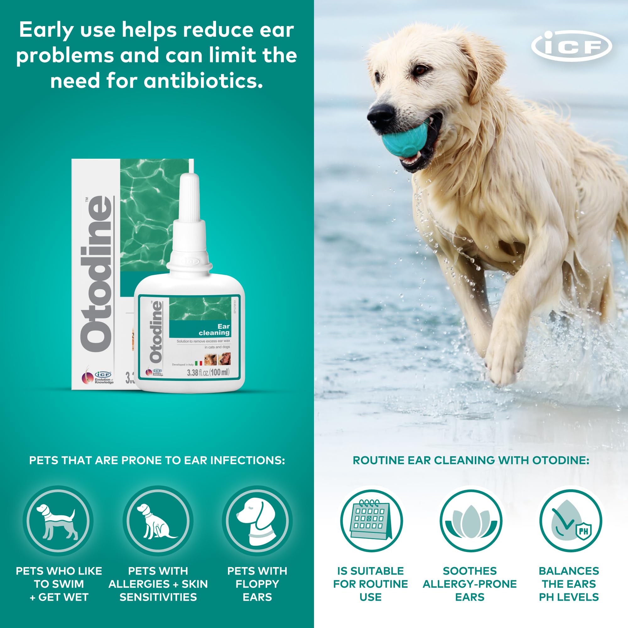 ICF Otodine odor-neutralization helps reduce ear odors between baths.