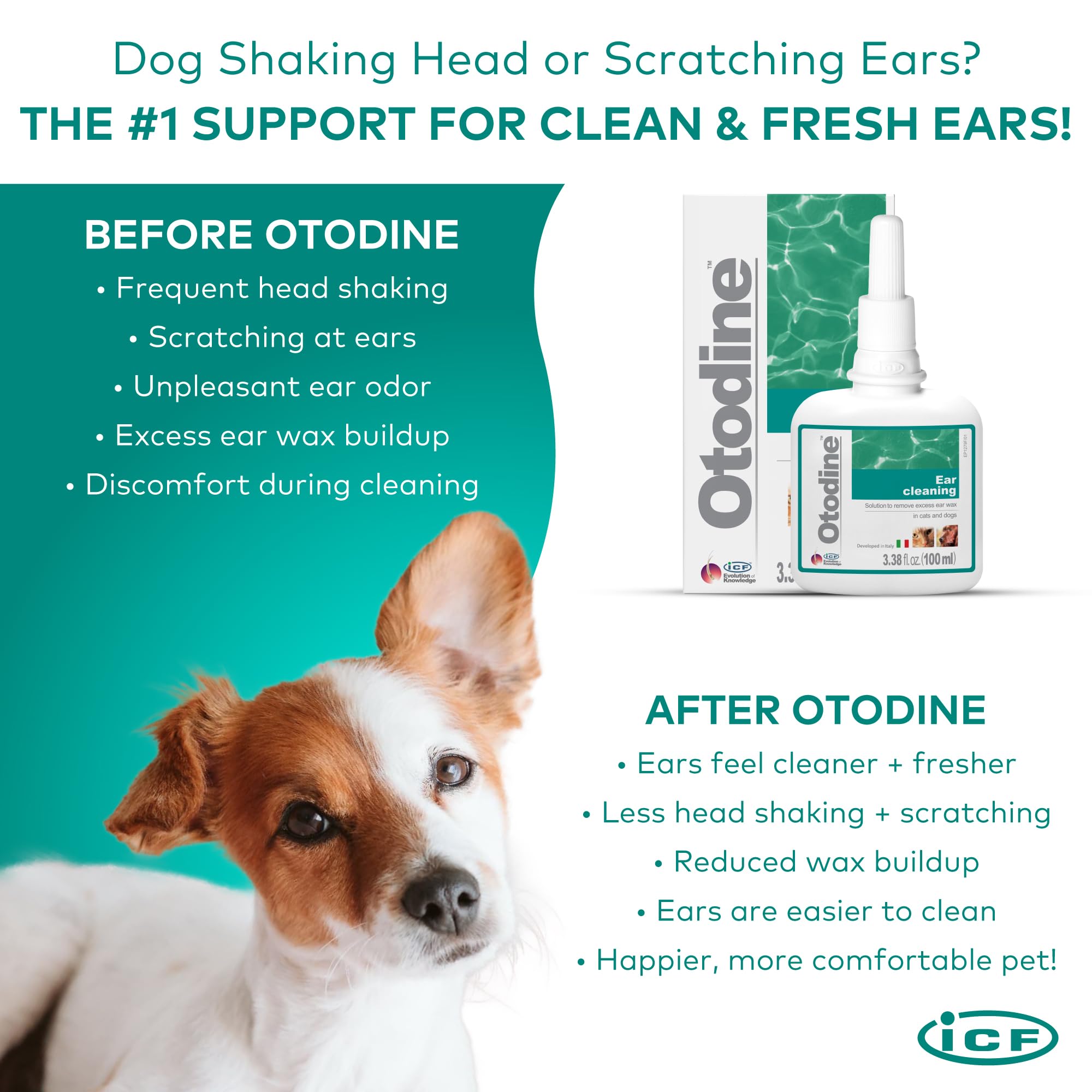 ICF Otodine wax and debris softening aids deeper cleaning.