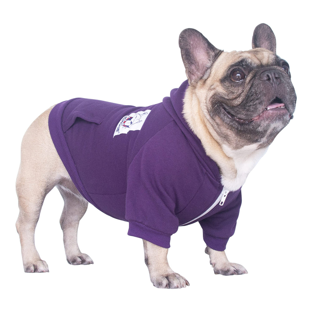 iChoue french bulldog hoodie warmth and style in practical daily wear