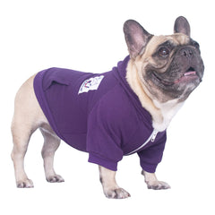 iChoue french bulldog hoodie warmth and style in practical daily wear