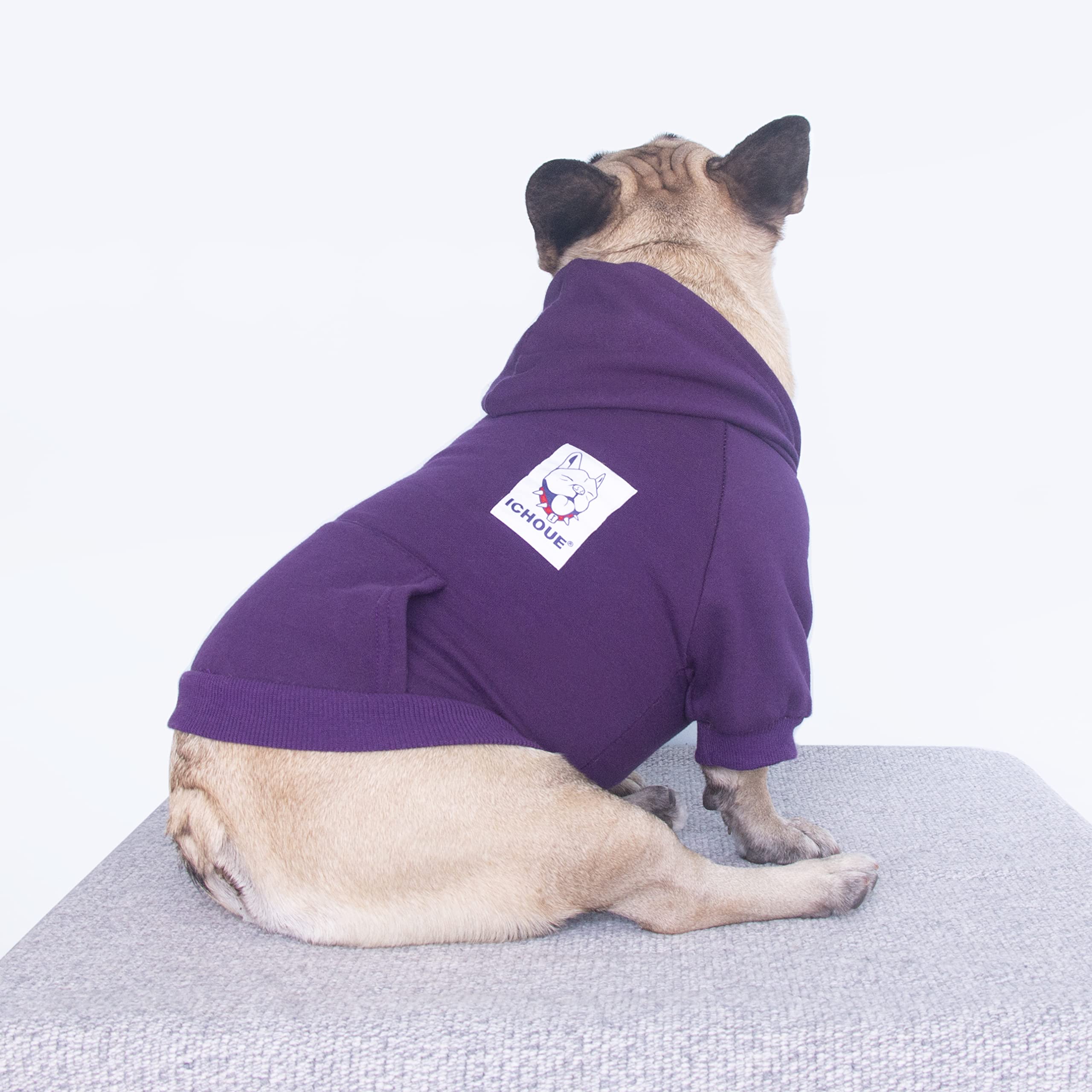 iChoue frenchie hoodie zipper closure shows easy on/off and clean look
