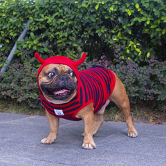 ichoue dog-costume-embroidery-eyes close-up with charming details